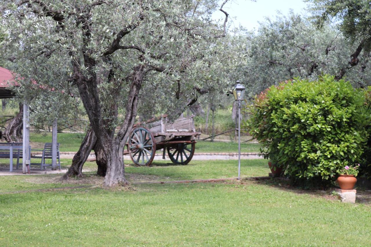 Agriturismo Il Bagolaro Villa Nerola Exterior foto